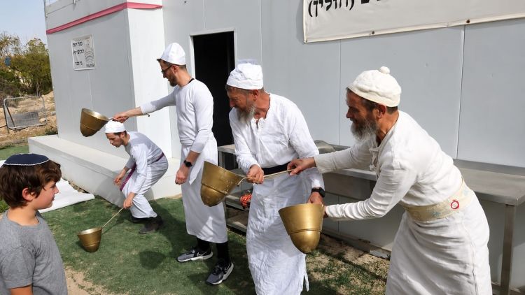 כהנים, אתם מוכנים?